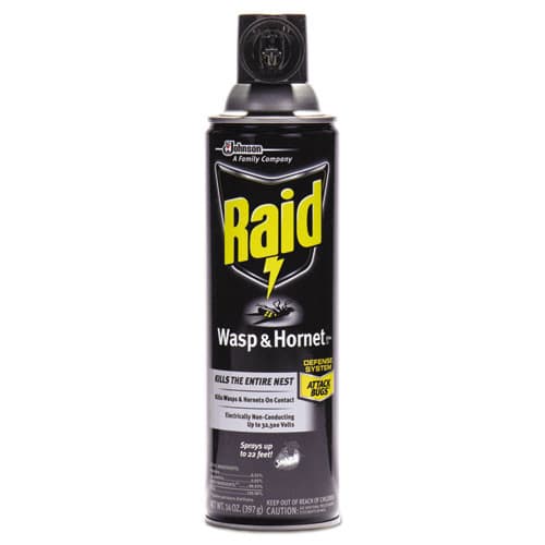 Wasp and Hornet Killer, 14 oz Aerosol, Case of 12 | Raid